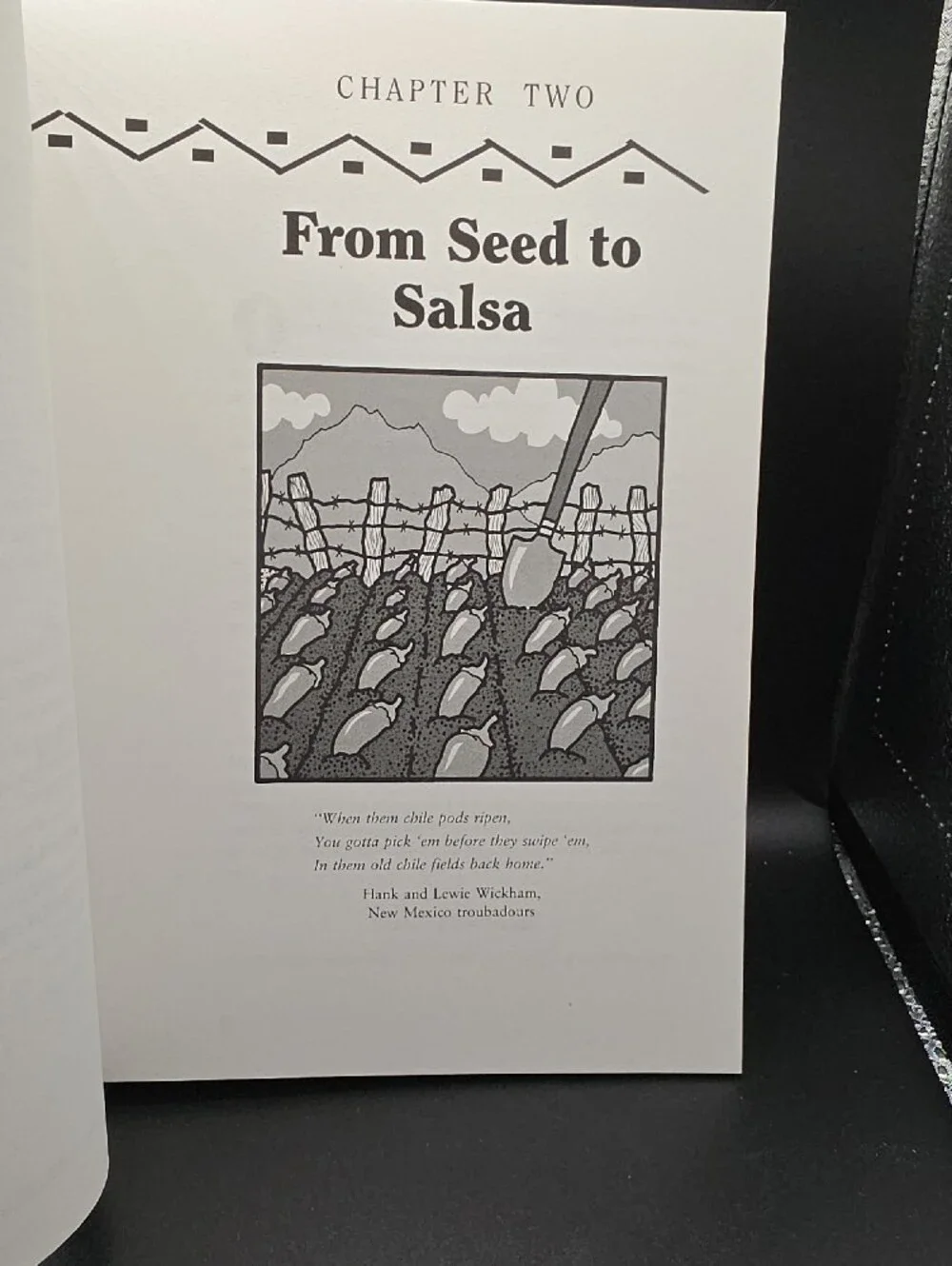 The Whole Chile Pepper Book — Cookbook in Red & Green, 373 Pages